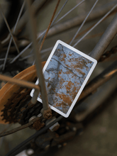 Load image into Gallery viewer, Wall